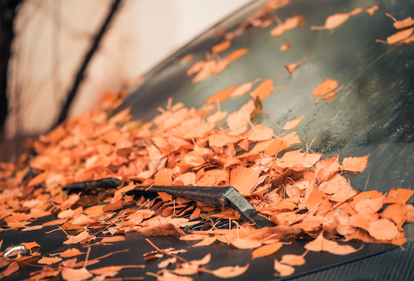 What Kind of Car Maintenance Do I Need in the Fall?